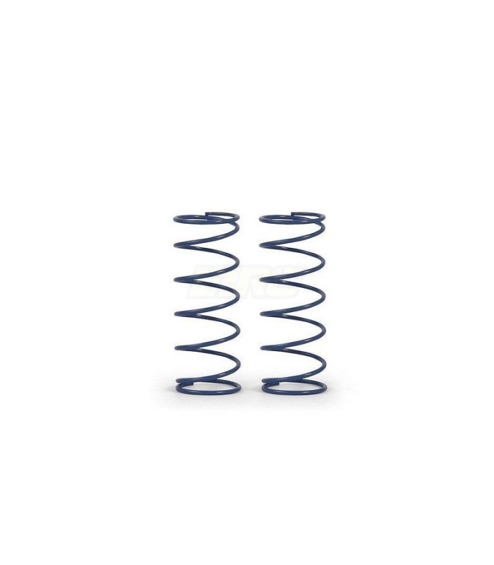 SET DE MUELLES DELAN C 0.80 - GRIS/AZUL (2) - E1rc.com