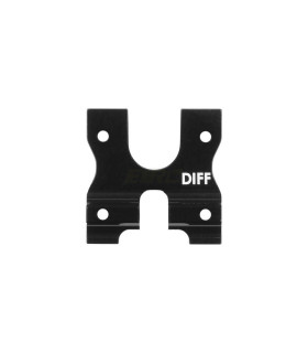 Associated B84 Center Bulkhead  Diff