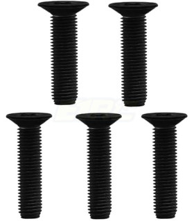 Tornillos elite M3x20 avellanado  10ud 