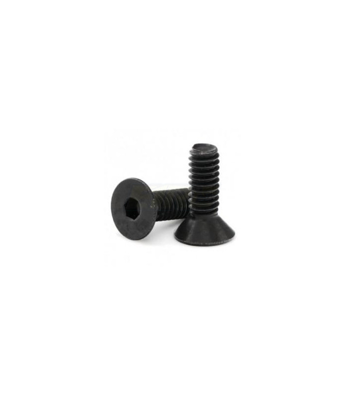 Tornillos elite M4x20 avellanado (10ud) - E1rc.com