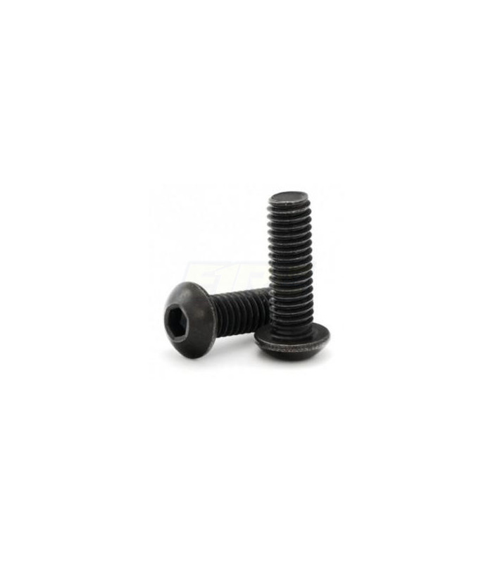 Tornillos elite M4x24 boton (10ud) - E1rc.com