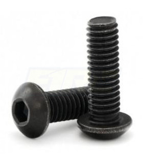 Tornillos elite M4x8 boton  10ud 