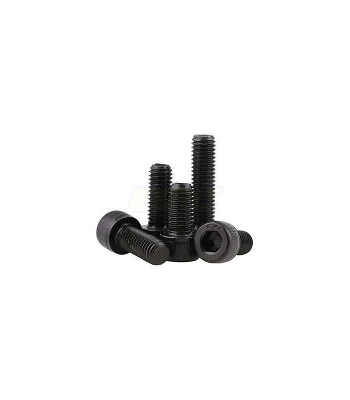 Tornillos elite M4x40 cilindro (10ud) - E1rc.com