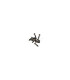 TORNILLO ALLEN OH/TP HT M3X12MM (10u.) SWORKZ - E1rc.com