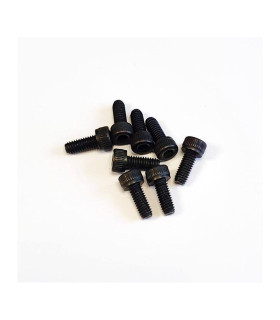 ALLEN SCREW M4X10MM (8 units) SWORKZ