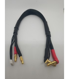2S Cable de carga 30cm (4/5mm,2mm)(4mm,3PIN-EH)
