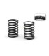 SPRING SET-SET C 2.2 (2) - E1rc.com