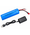 Bateria y cargador caballo 104020