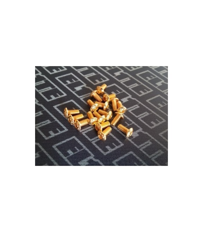 Tornilleria Gold Botón M3 - E1rc.com