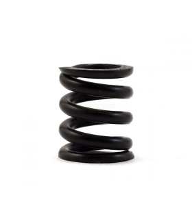 Associated B44/B6/B6D Slipper Spring