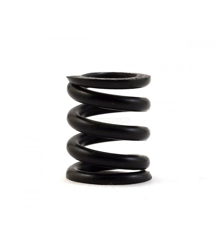 Associated B44/B6/B6D Slipper Spring - E1rc.com