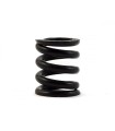 Associated B44/B6/B6D Slipper Spring