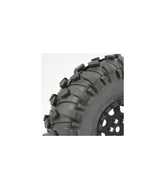 FASTRAX 1:10 CRAWLER BOXER 1.9 MOUNTED SCALE - E1rc.com