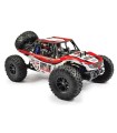 FTX OUTLAW 1/10 BRUSHED 4WD ULTRA-4 RTR BUGGY