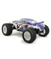 FTX BUGSTA RTR 1/10th Brushed 4WD Off-Road Buggy