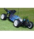 FTX VANTAGE 1/10 BRUSHED BUGGY 4WD RTR 2.4GHZ WATERPROOF - E1rc.com