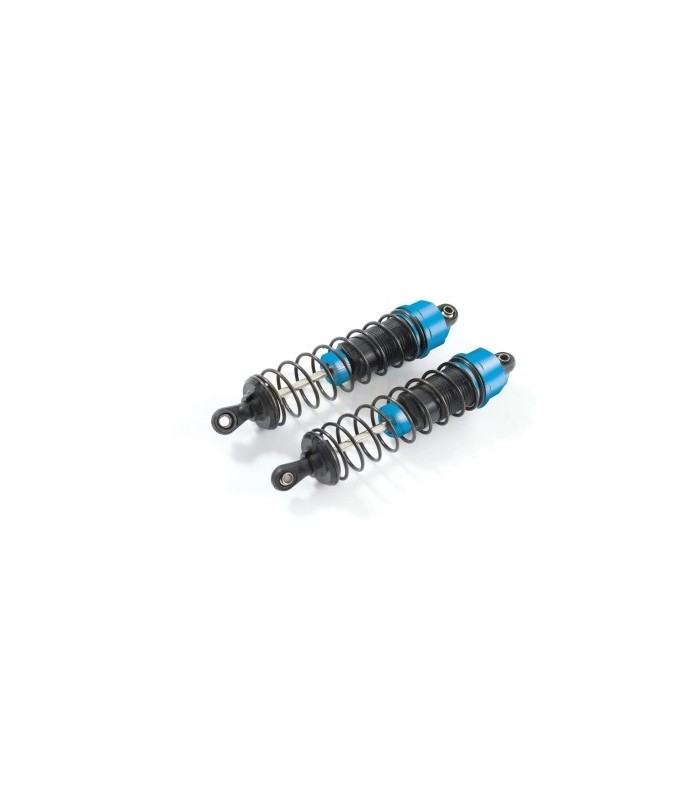 FTX VANTAGE 1/10 BRUSHED BUGGY 4WD RTR 2.4GHZ WATERPROOF - E1rc.com