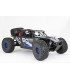 FTX DR8 1/8 DESERT RACER 6S READY-TO-RUN - BLUE - E1rc.com