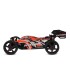 CORALLY PYTHON XP 6S BUGGY 1/8 SWB BRUSHLESS RTR - E1rc.com