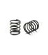 SPRINGS T4 4S 2.8 (2) - E1rc.com