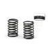 SPRING SET-SET C 2.2 (2) - E1rc.com
