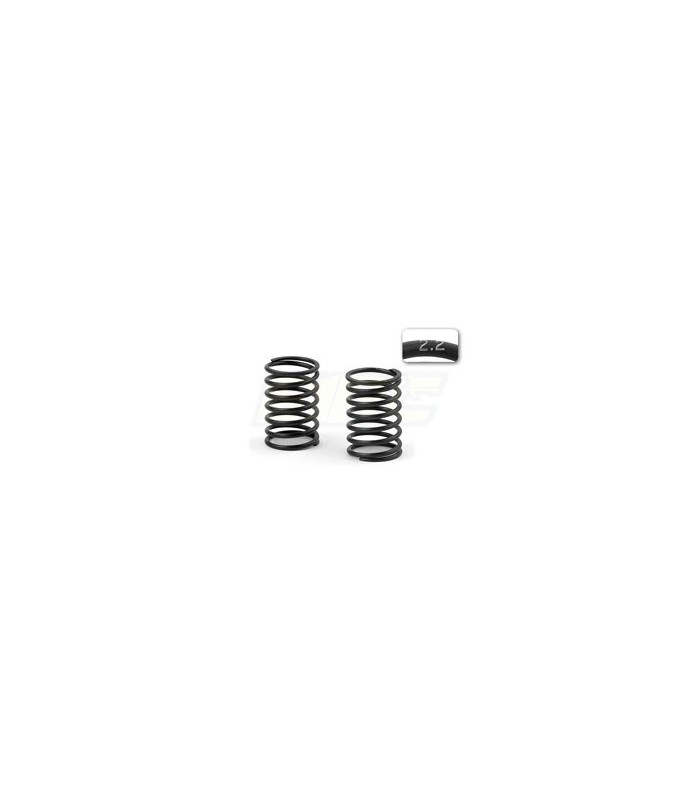 SPRING SET-SET C 2.2 (2) - E1rc.com