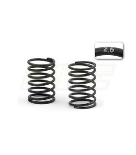 SET DE MUELLES-SET C 2.6 (2)