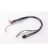 Cable de carga 2S 30cm (4/5mm,2mm)(7PIN-XH,XT60) Ruddog - E1rc.com