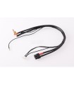 Charging cable 2S 30cm (4/5mm,2mm)(7PIN-XH,XT60) Ruddog