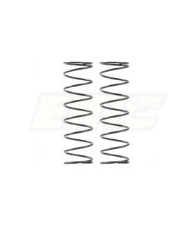 MUELLES TRASEROS C0.40 (2)